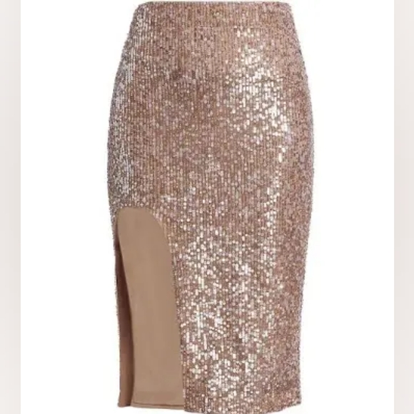 NWT sz 10 $1650 Zeynep Arcay sequined skirt - Picture 5 of 5